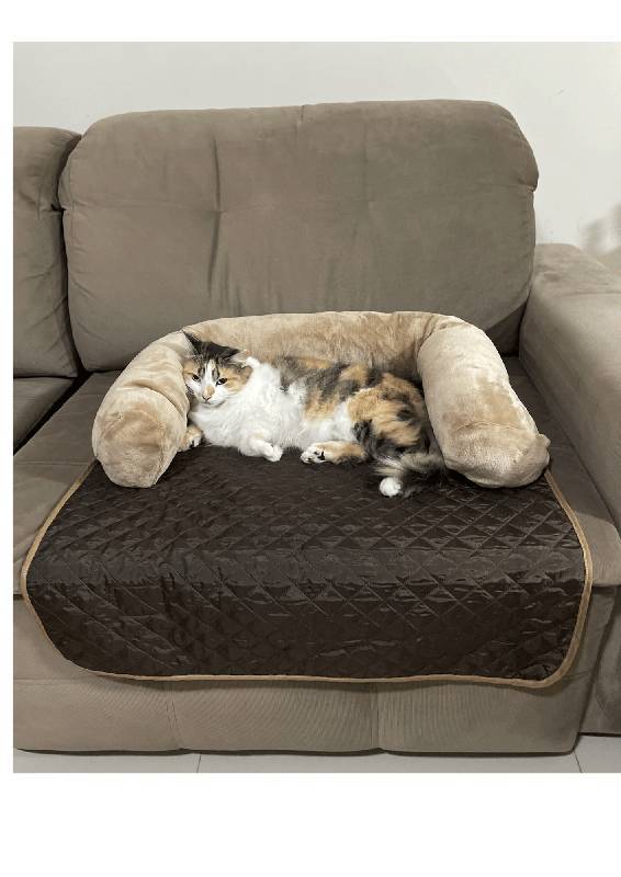 Cama Protetora - Sofá ...