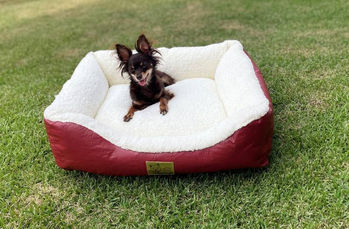 Cama Retangular Courvin com Pele